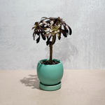 HwaBoon - Potted Plant