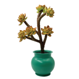 HwaBoon Collectible