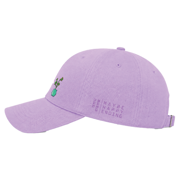 Hwaboon Cap: Model 2.0