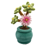PlushBoon