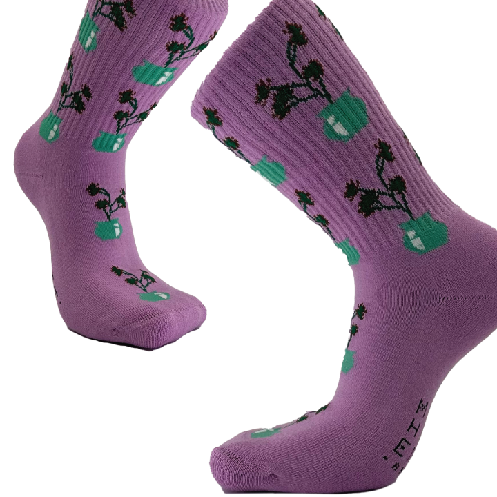 HwaBoon Socks