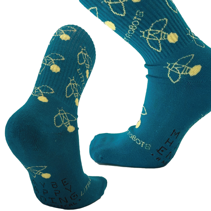 LFR_Sock_1.png